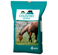 Pferdeweide | COUNTRY Horse 2122