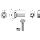 Pflugschraube M16 x 2 x 50 mit Sechskantmutter Europäische EA-Qualität