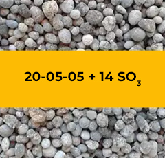 20-05-05 + 14 SO3