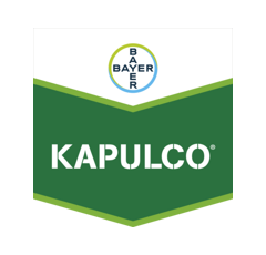 KAPULCO