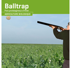 Pois protéagineux jaune d'hiver - Balltrap - BIO