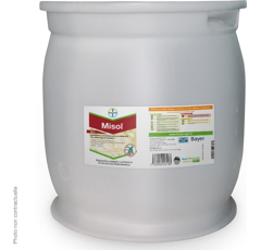 MISOL | Traitement semence