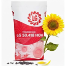 Tournesol oléique très précoce - LG 50.418 HOV