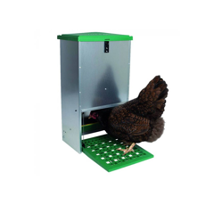 Mangeoire anti-nuisible à trémie - CHICK'A