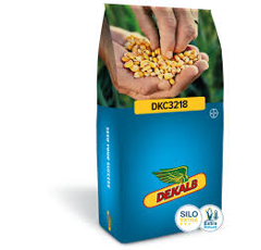 Saatmais - DKC 3218 (S210 K220) DEKALB