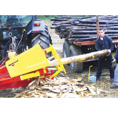 Appointeuse de pieux biface - RABAUD