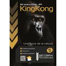 Blé tendre d'hiver - King Kong