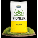 Colza oleaginosa híbrida - PT 303 Pioneer