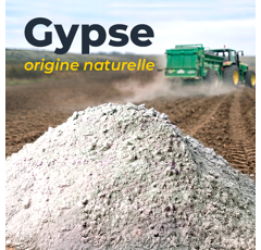Gypse | Origine naturelle | CaSO4 + SO3