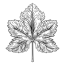 STARCHEM FOLPET 80 (Folpan 80 WDG) | Kontakt-Fungizid