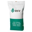 Saatmais - Clooney Öko (S250 K240) DSV