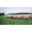 Euro-Netz Wolfsnetz Kombi JUMBO 106/2 Wildverbiss