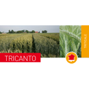 Triticale - Tricanto - BIO