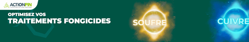 202602-ACTIONPIN-PACKVITI