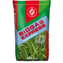 Stangenbohnen BG 110 mit Impfmittel RF60