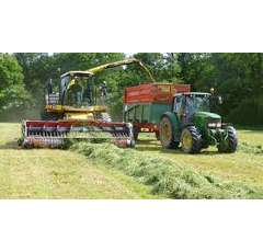 Inoculant Herbe PIONEER 11XH4 - flacon 250 g