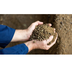 Mélange de Tourteau 70% Soja / 30% Colza - VRAC