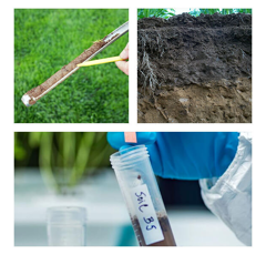 Analyse de sol - Physico-chimique + 5 oligo-éléments (avec granulométrie)