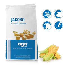 Saatmais - Jakobo (S240 K240) AGASAAT