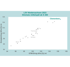 Saatmais - Clementeen (S270) DSV