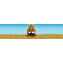 Sommerhafer - Karl BIO