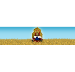 Sommerhafer - Karl BIO