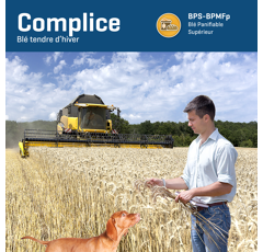 Blé tendre d'hiver - Complice