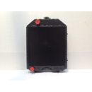 Kühler LADINI 3655084M92 - Nachbau