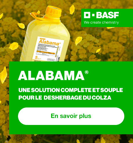 202608_BASF_Home