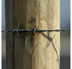 Ronce - Fils - Rubans 200 m - 24 x 4 x 10 EUROPE CLASSE C - DIRICKX