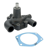 Pompe à eau pour MASSEY FERGUSON 3641823M91 adaptable