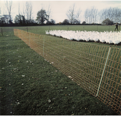 Euro-Netz Geflügel 112/2 grün 25m - stromlos