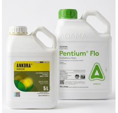 Pack herbicides céréales | PENTIUM FLO (5 x 10 L) + ANKORA (2 x 5 L) - Autorisé en sol drainé