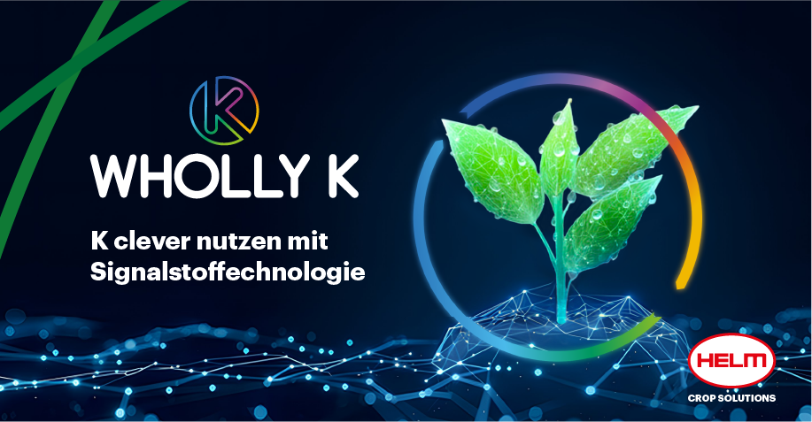 202603-HELM-DISPLAY-FULL-SITE