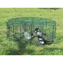 Cage à pie ronde à 5 compartiments 80 cm - BOXTRAP