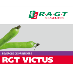 Féverole de printemps - RGT Victus