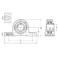 Palier semelle classique fonte UCP 206 D1 | NTN-SNR