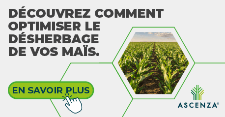 202604_ASCENZA_HOME_HERBI