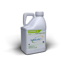 LATITUDE XL | Traitement semence