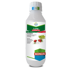 Luna Sensation | Fungizid