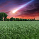 Pois fourrager d'hiver - Asteroid - BIO