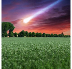 Winterfuttererbse - ASTEROID