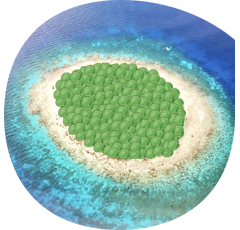 Pois protéagineux vert de printemps - Atoll