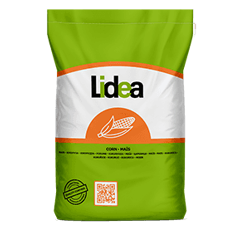 Maïs mixte 330 - Kamponi