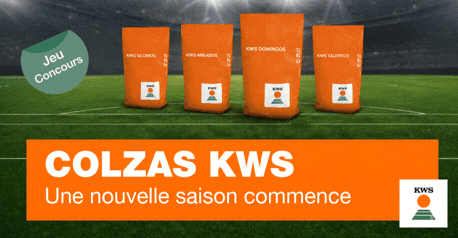 202607_KWS_COLZA_CULTURE