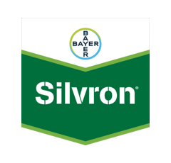 SILVRON