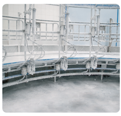 Kenosan™ - Détergeant - UAB