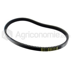 Courroie de variateur 1530 mm pour moissonneuse   CLAAS  adaptable