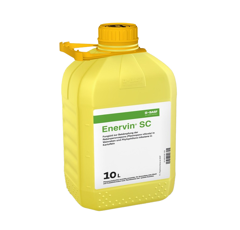 Enervin F I Kontakt-Fungizid