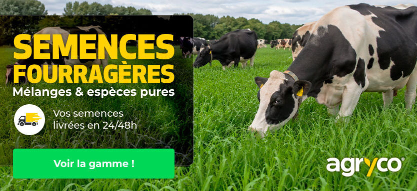AGRYCO_SEEDS_Fourragere_190826